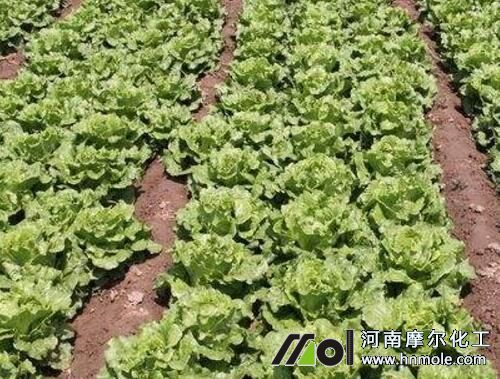 ����ɏ����