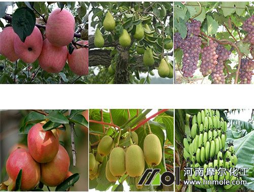 ��������⛷�