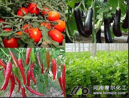 �ѹ��߲�����⛷�