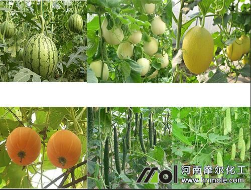 �������⛷�