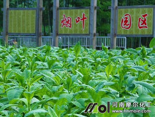 �Nֲ�������