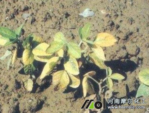 ��ȱ�f���F