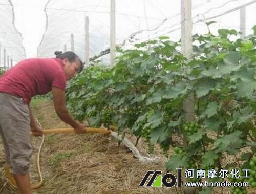 ���ћ_ʩˮ�ܷ�