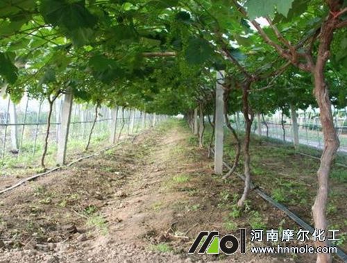 ���ѵι�ˮ�ܷ���