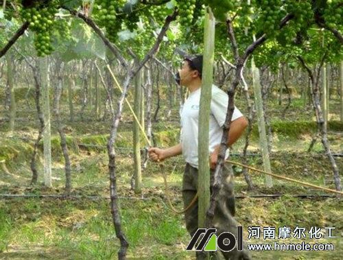 ���ч�ʩˮ�ܷ���