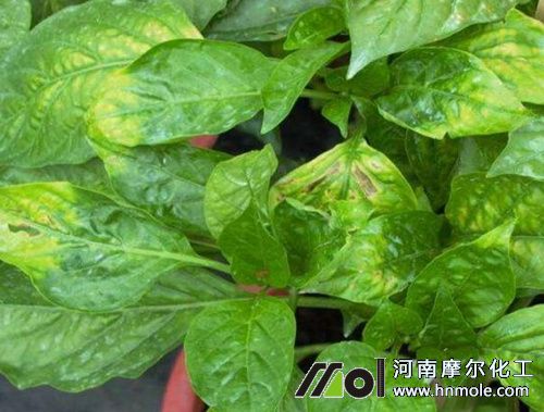 ����ȱ�}�~�ӱ��F�Y��