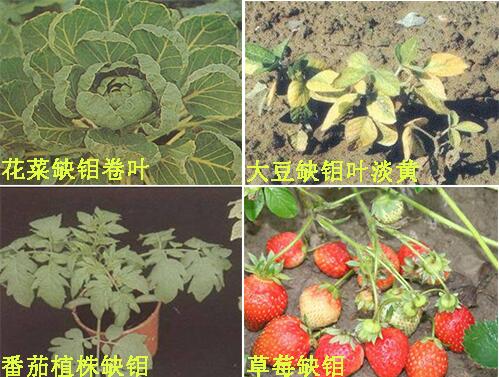 ����ȱ�f�Y����F