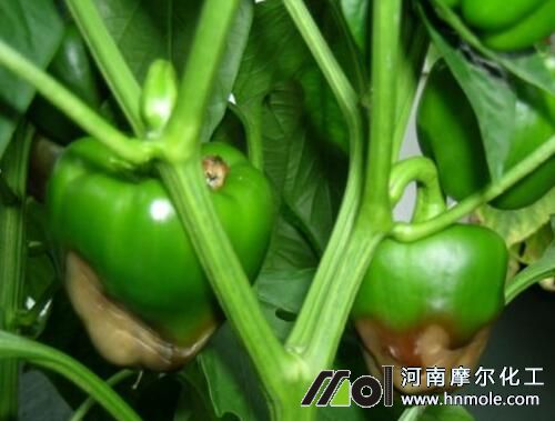 �����Y(ji��)����ȱ�}�Y����F(xi��n)