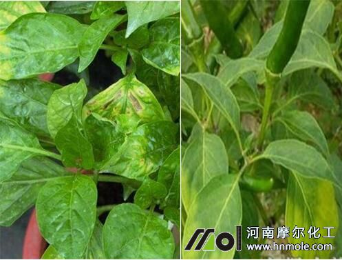 ��������ȱ�}���F(xi��n)