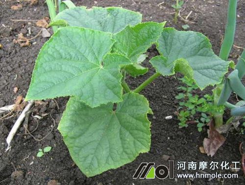 ���N���S����ʩ��