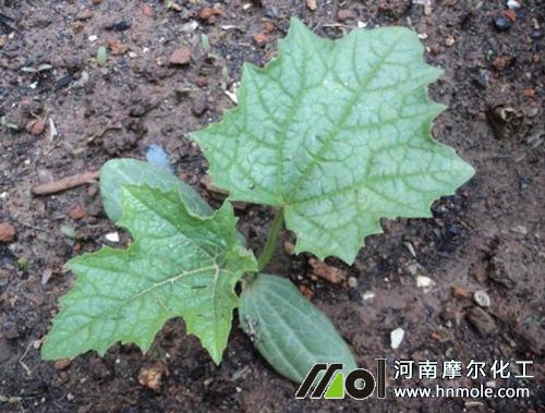 �z����׷ʩˮ�ܷ�