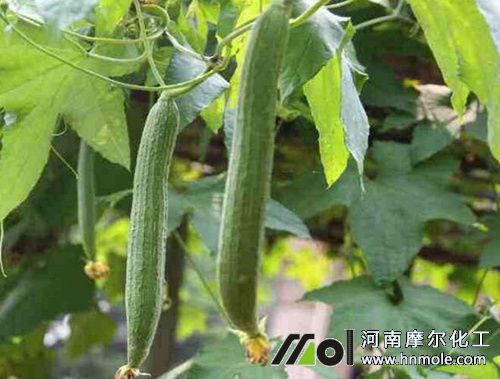 �z�ϽY����׷ʩˮ�ܷ�