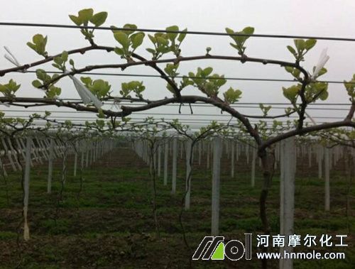 �J���Ұlѿ��׷ʩˮ�ܷ�