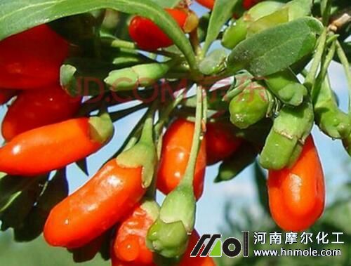 ��轳���׷ʩˮ�ܷ�