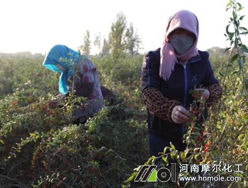 ��轲ɹ���׷ʩˮ�ܷ�