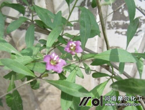 ���ʢ����׷ʩˮ�ܷ�