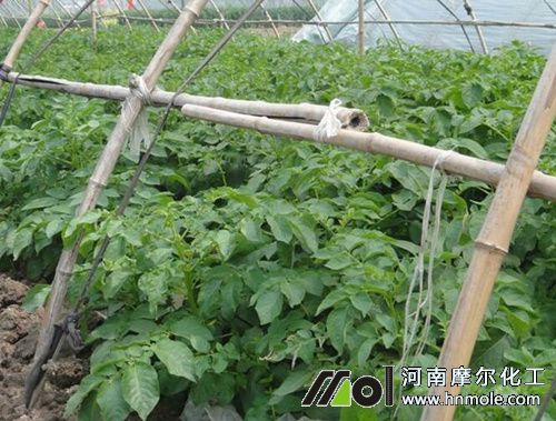 ����ˮ�ܷ��÷�