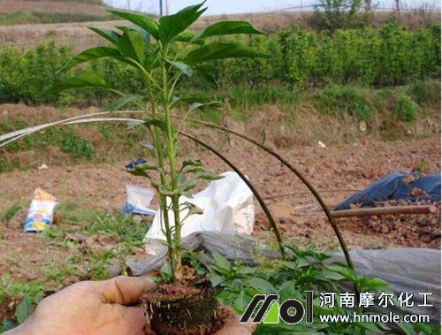 ���콷��׷ʩ�����