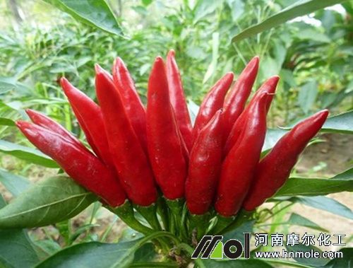 ���콷�Y(ji��)����׷ʩ�ߵ��ˮ�ܷ�