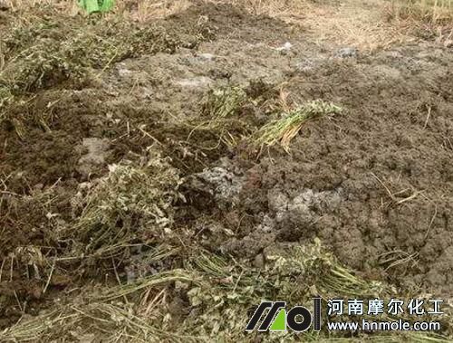 ����ʩ�r(n��ng)�ҷ�