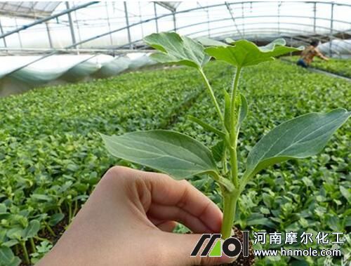 ������׷ʩˮ�ܷ�