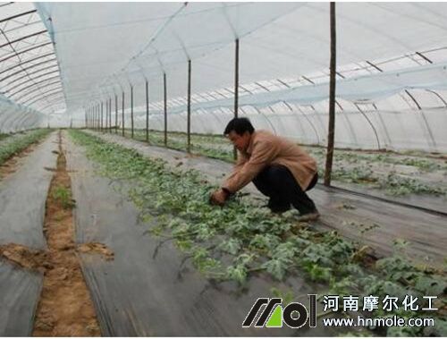 ����������׷��