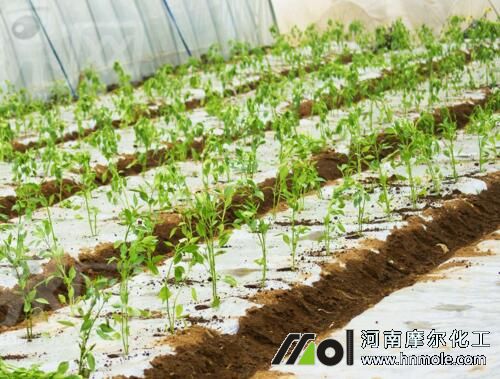 ������׷ʩˮ�ܷ�