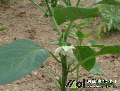 ������ǰ׷ʩˮ�ܷ�