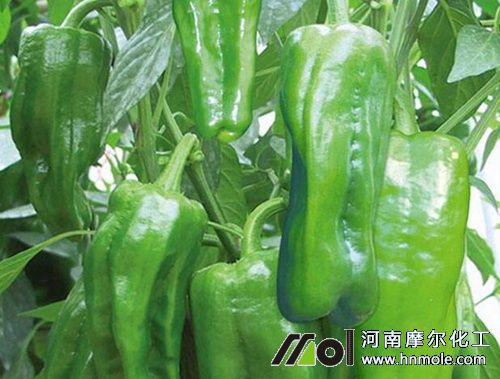 �������׷ʩˮ�ܷ�