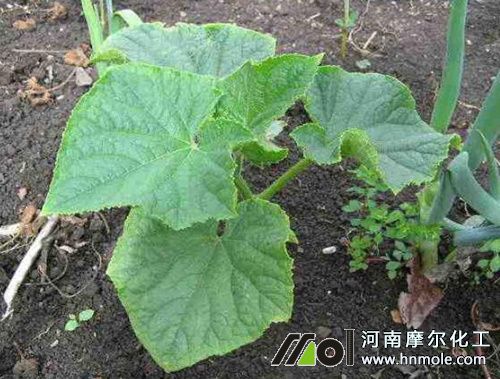 �S��ʩʲô���L�ú�