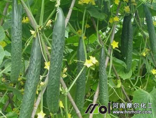 �S��ʩʲô���L�ú�