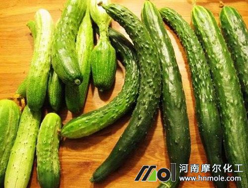 �S�σ��^�����g��ȱʲô��