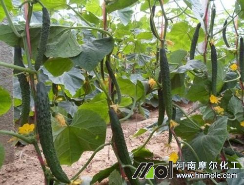 �S�ϽY����׷ʩ��⛷�