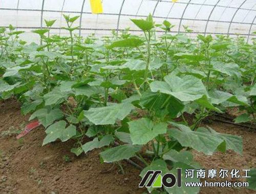 �S������׷ʩˮ�ܷ�