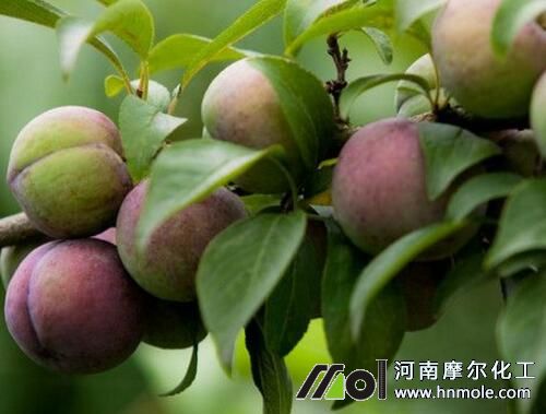 ���ӳ�����ʩ��