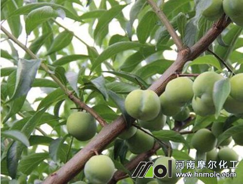 ���ӻ���ʩ��