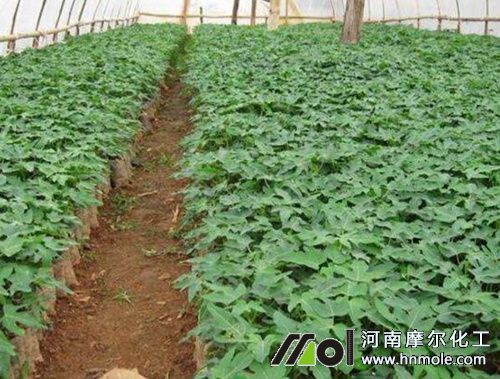 ľ��ʩ�ʕr�g������