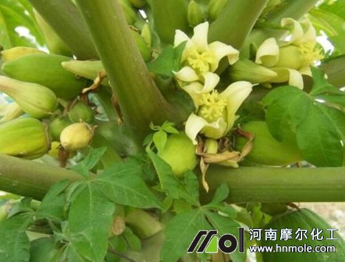 ľ��ʩ�ʕr�g������