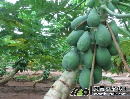 ľ��ʩ�ʕr�g������