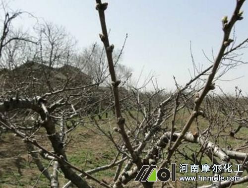 �O����ʲô�r����ˮ�ܷ�