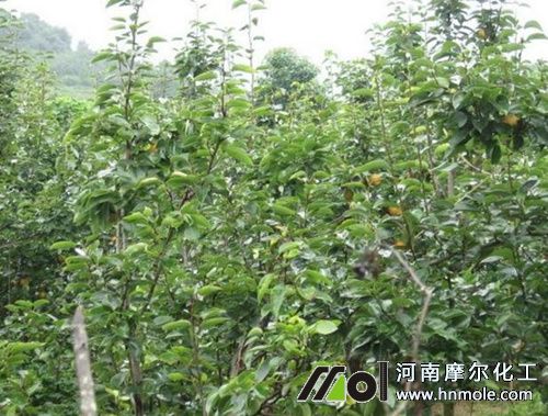 �O����ʲô�r����ˮ�ܷ�