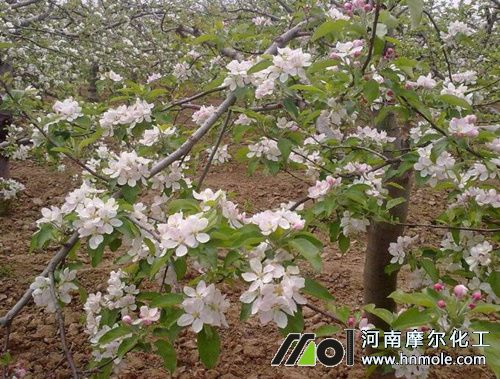 �O����ʲô�r����ˮ�ܷ�