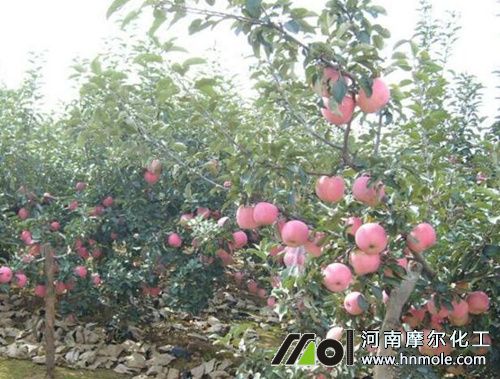 �O����ʲô�r����ˮ�ܷ�