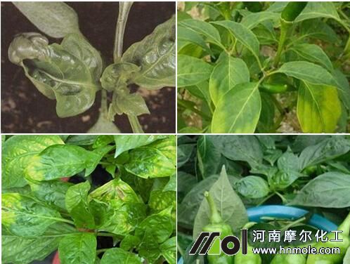 ����ȱ�}�~�ӱ��F