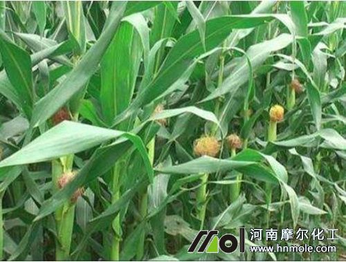 ��������ʹ��ˮ�ܷ�