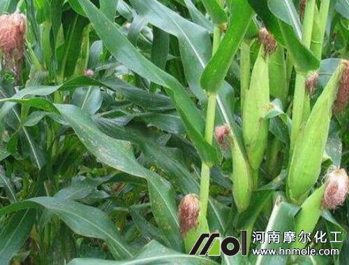 ��������ʹ��ˮ�ܷ�