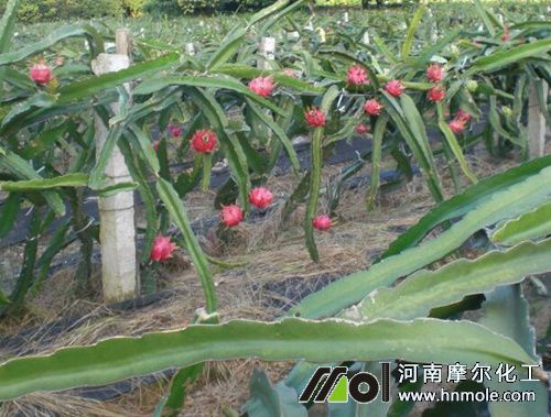 �����������ˮ�ܷ�