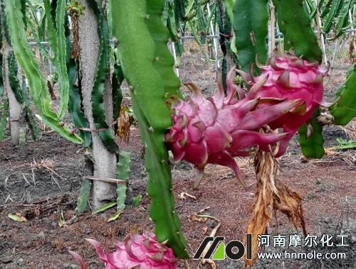 ������ˮ�ܷ�ʩ�÷���