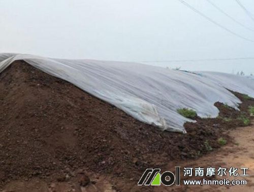 ����ʩʲô�����