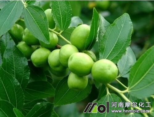 ����Y����׷��